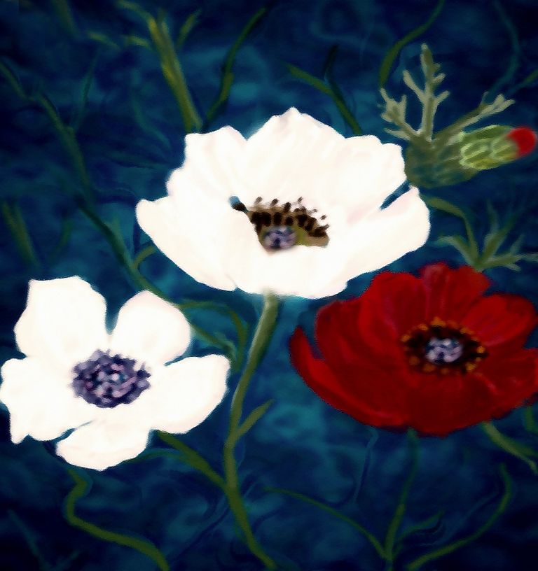 Midnight with The Waltz Of The Flowers