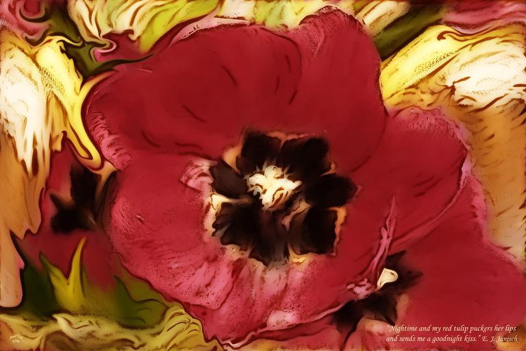 Tulip