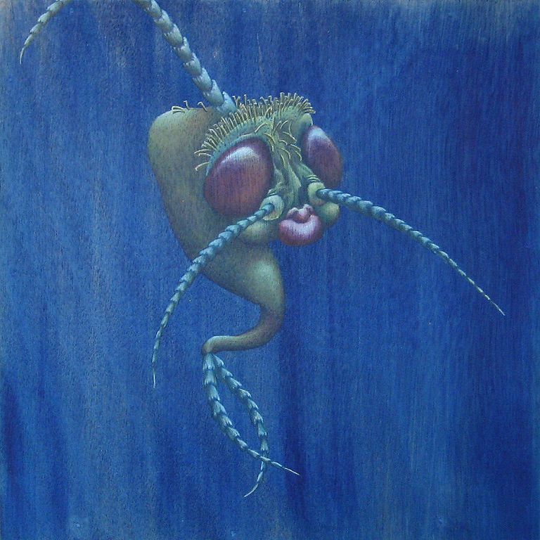 Achakravarty untitled3
