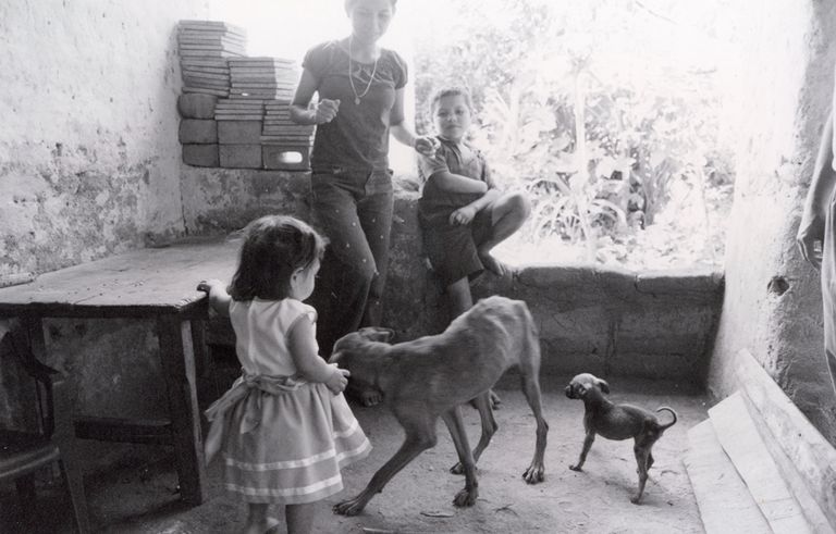 Doll and Her Dogs