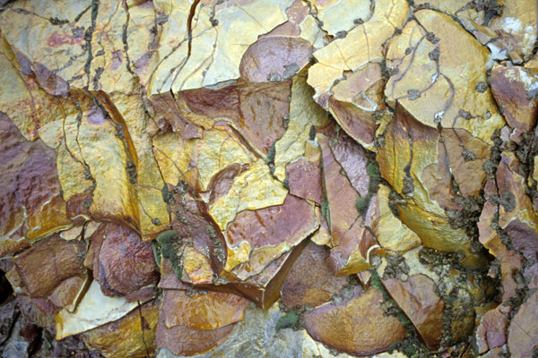 montana rock