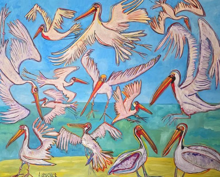 California pelicans