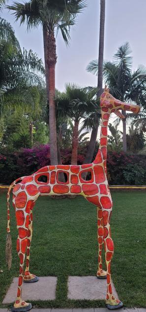 Giraffe skywatch