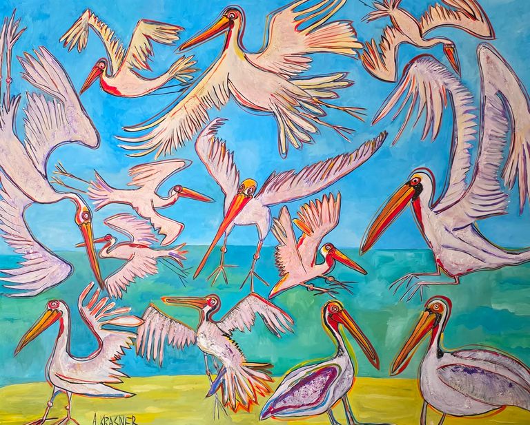 California Pelicans