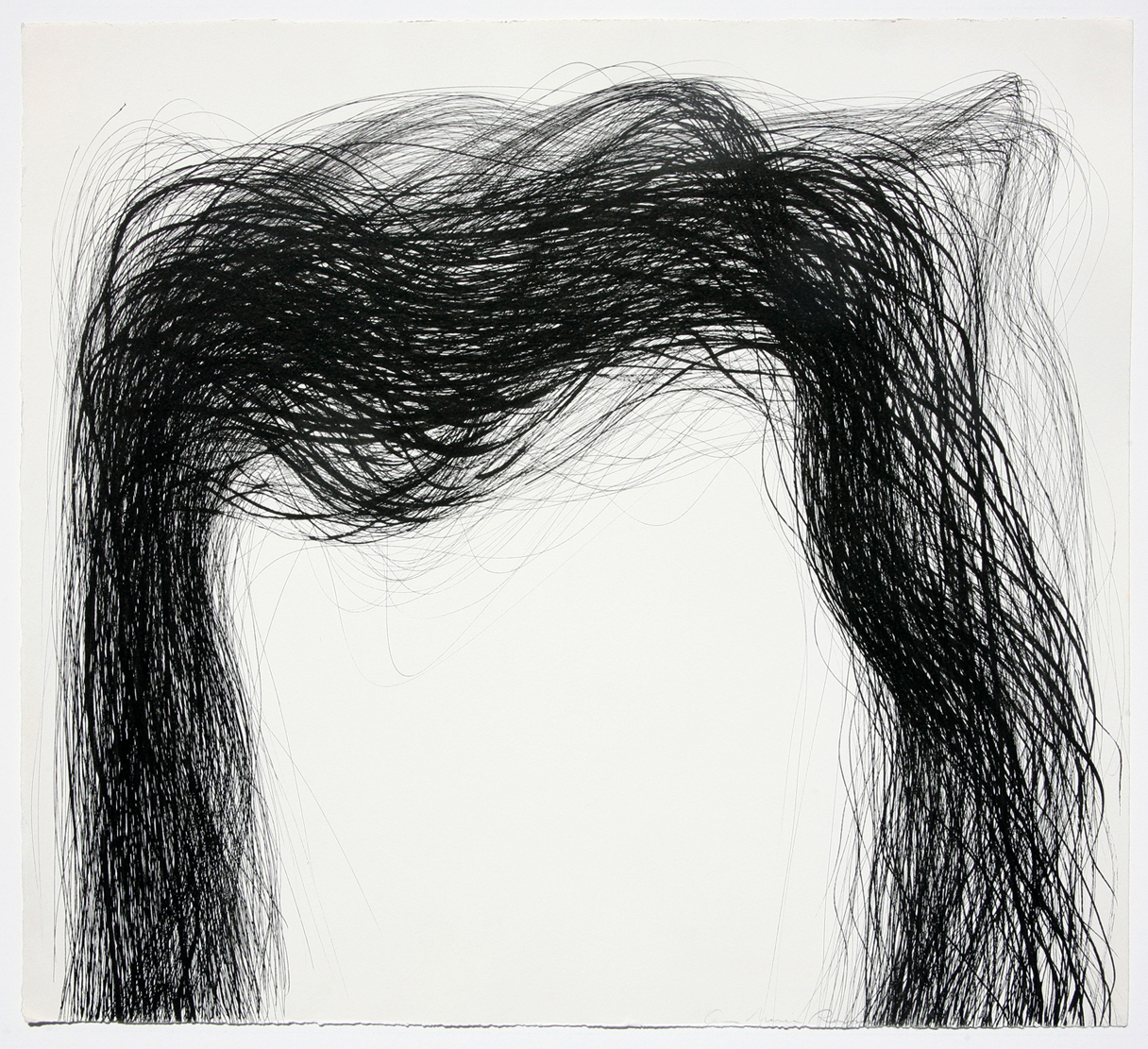 Crow Quill Pen Drawing, Transverse