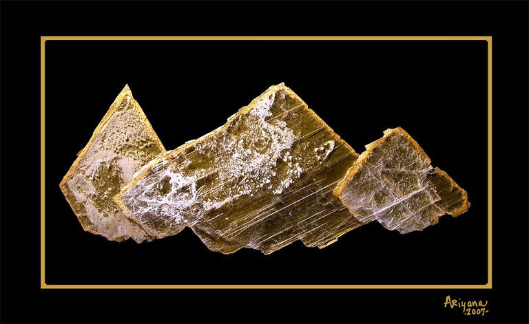 Himalayan grace