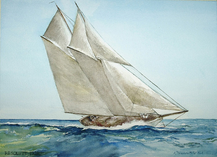 Millet resolute 1