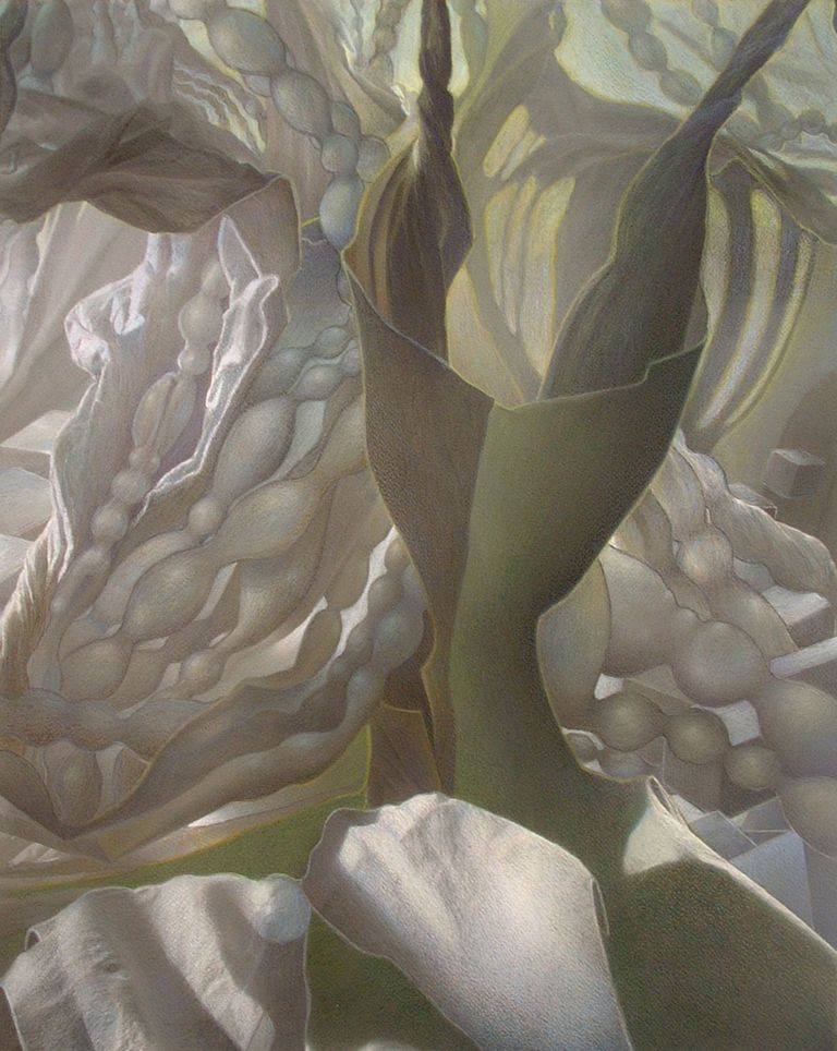 Art Venti