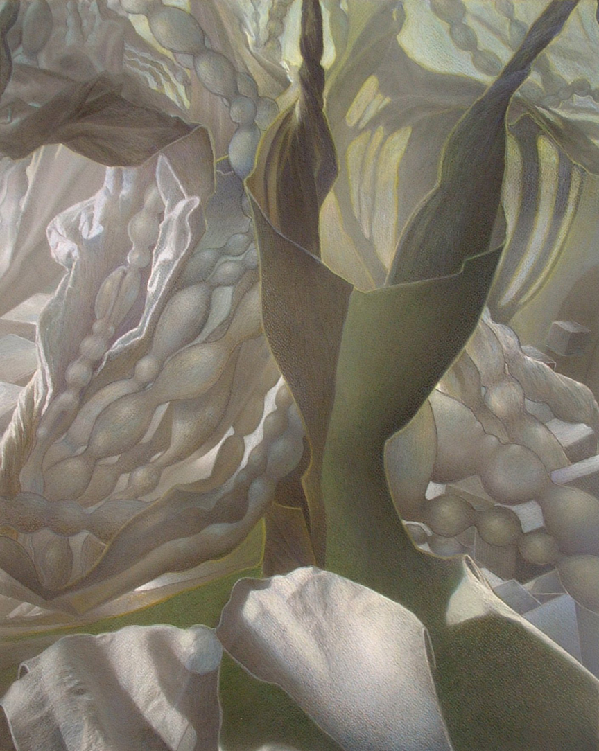 Biological Portrait