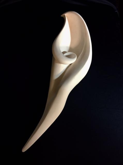 Leg of a bird