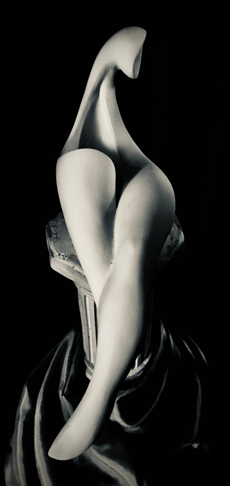 Abstract Diva