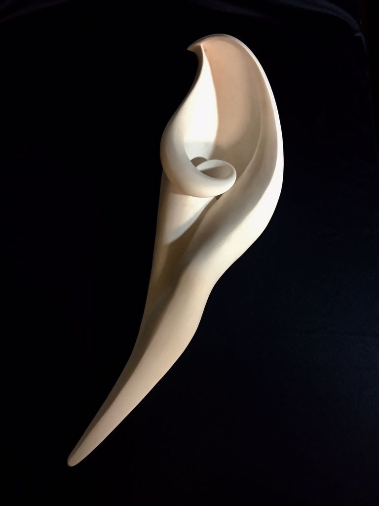 Leg of a Bird