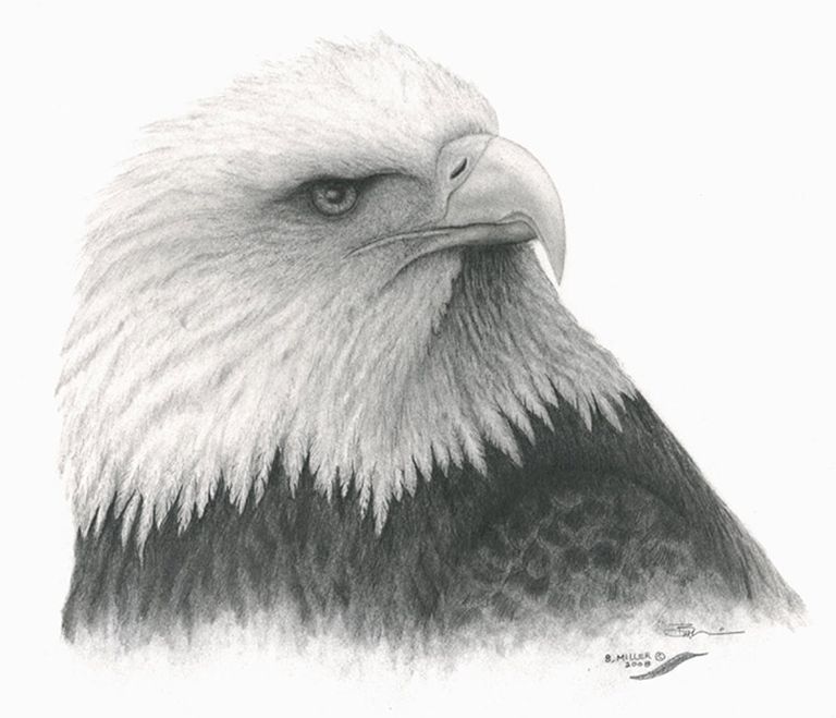 Eagle