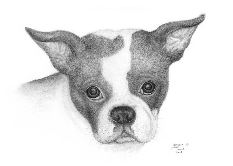 Lucy
