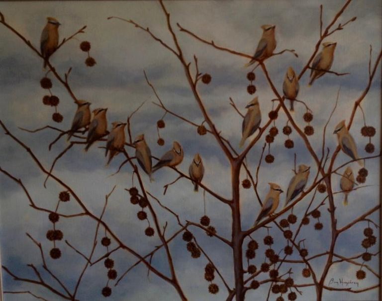 Cedarwaxwings