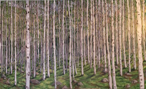 Aspen grove