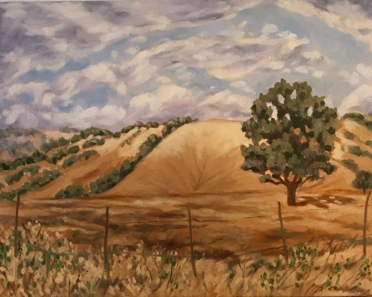 Parkfield caliifornia