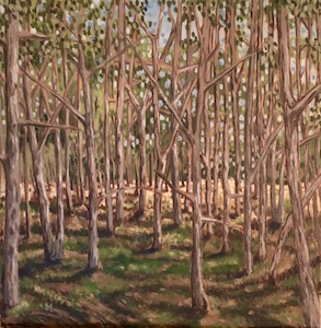 blue oaks parkfield