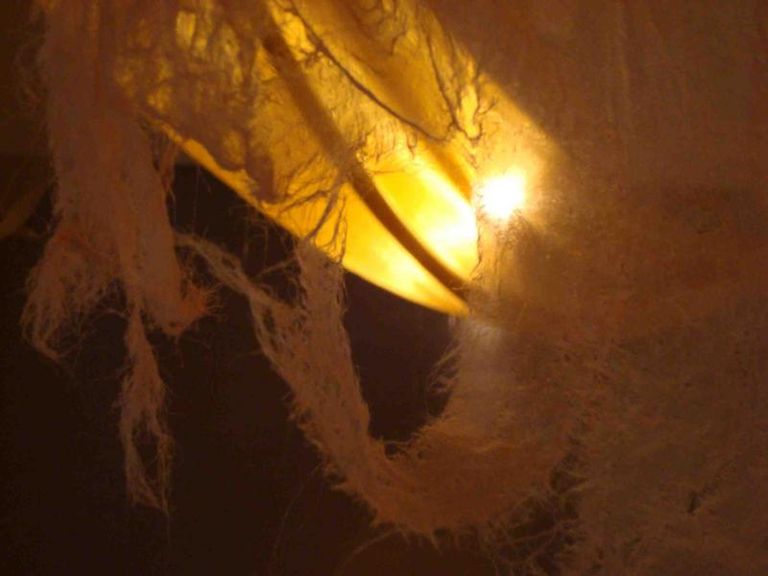 Silky Silk2Rippingyoursanityaway
