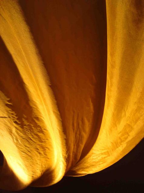 Silky Silk5Highwaytoheaven