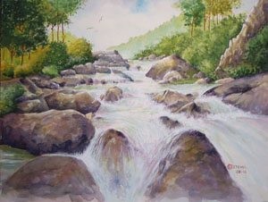 Rushing Stream