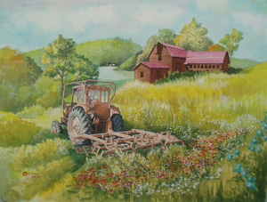 Used old tractor