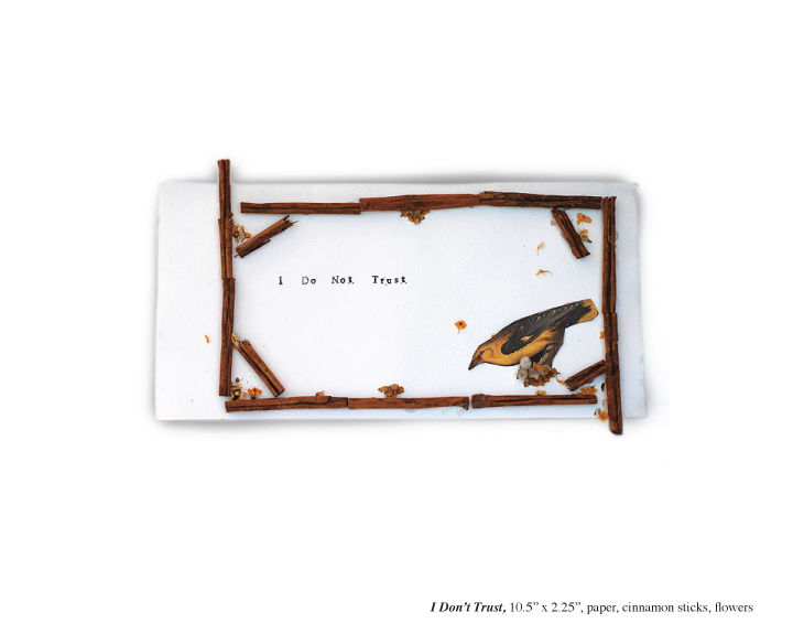 I Do Not Trust