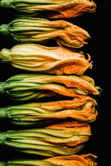 Squash blossoms