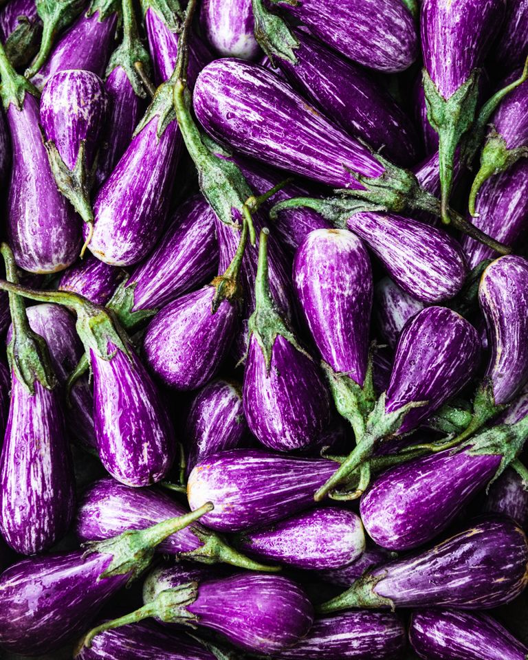Fairy Tale Eggplant