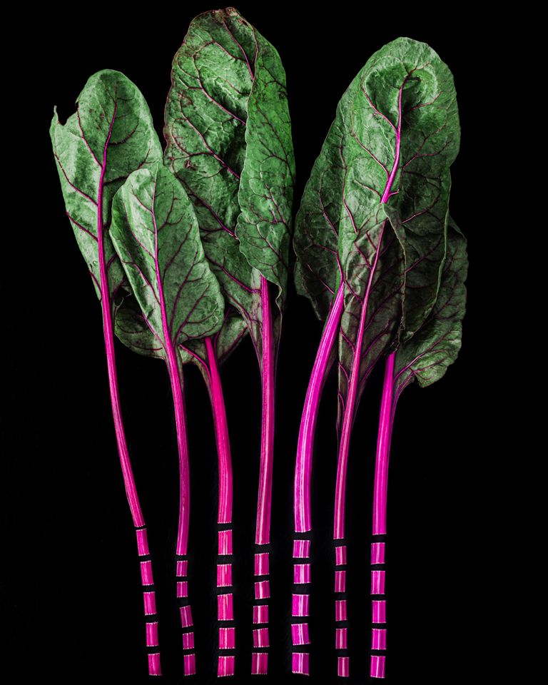 Hot Pink Chard