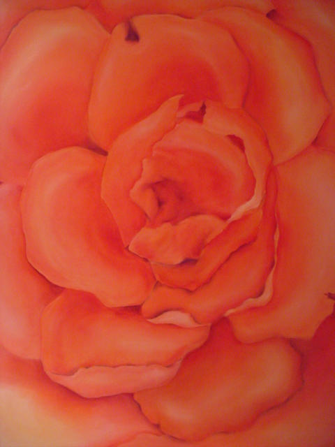 Pink Lady