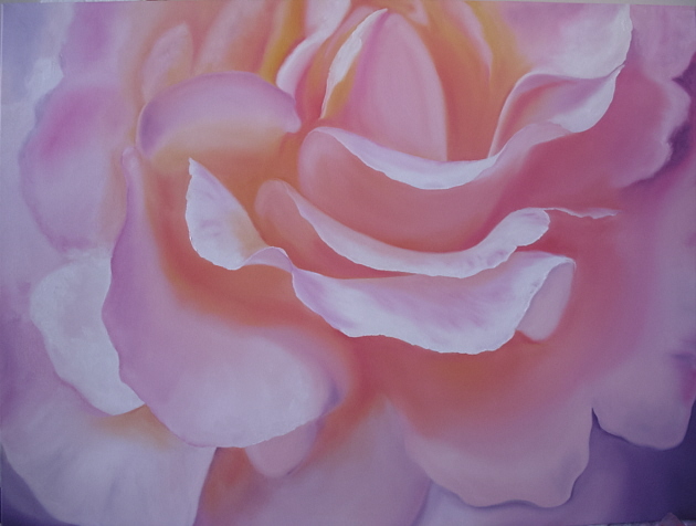 Morning Rose