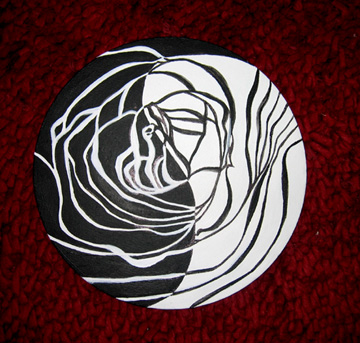 Black & White Yin Yang Rose