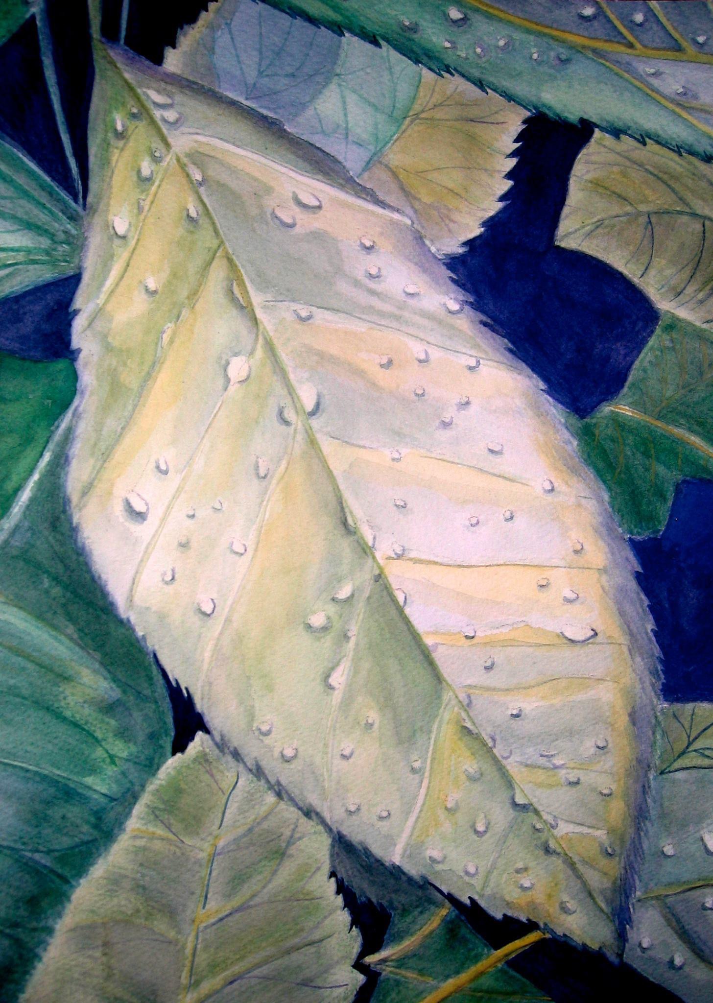 Leaf with Raindrops