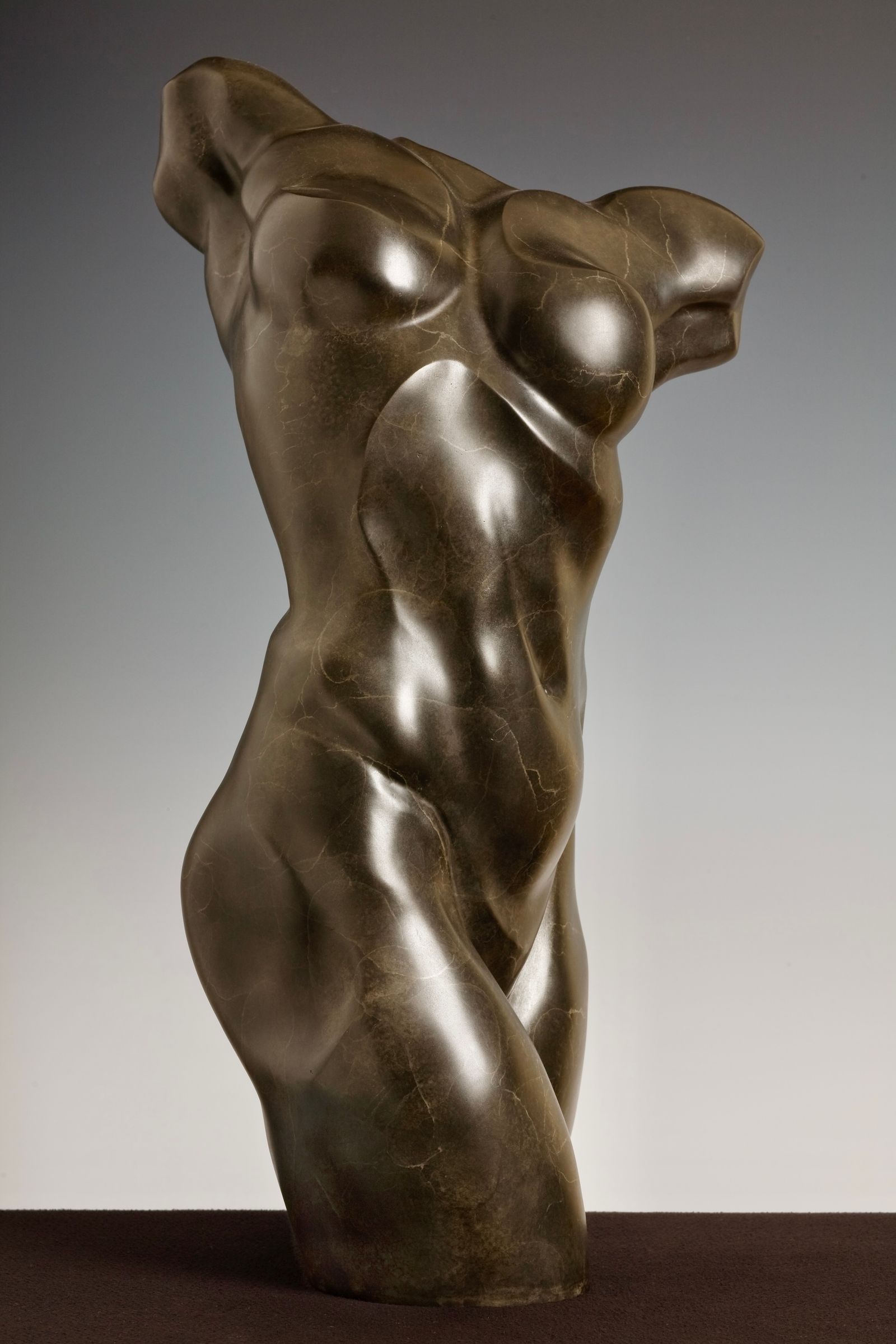 Female Torso