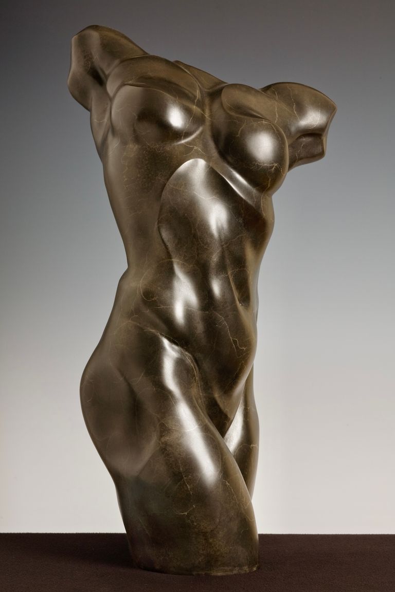 Female Torso