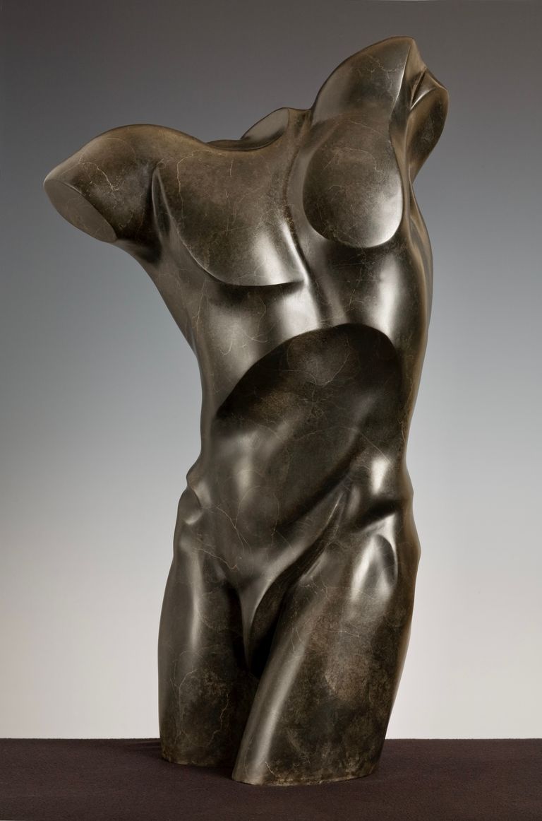 Male Torso