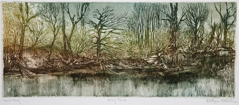 Alley Pond