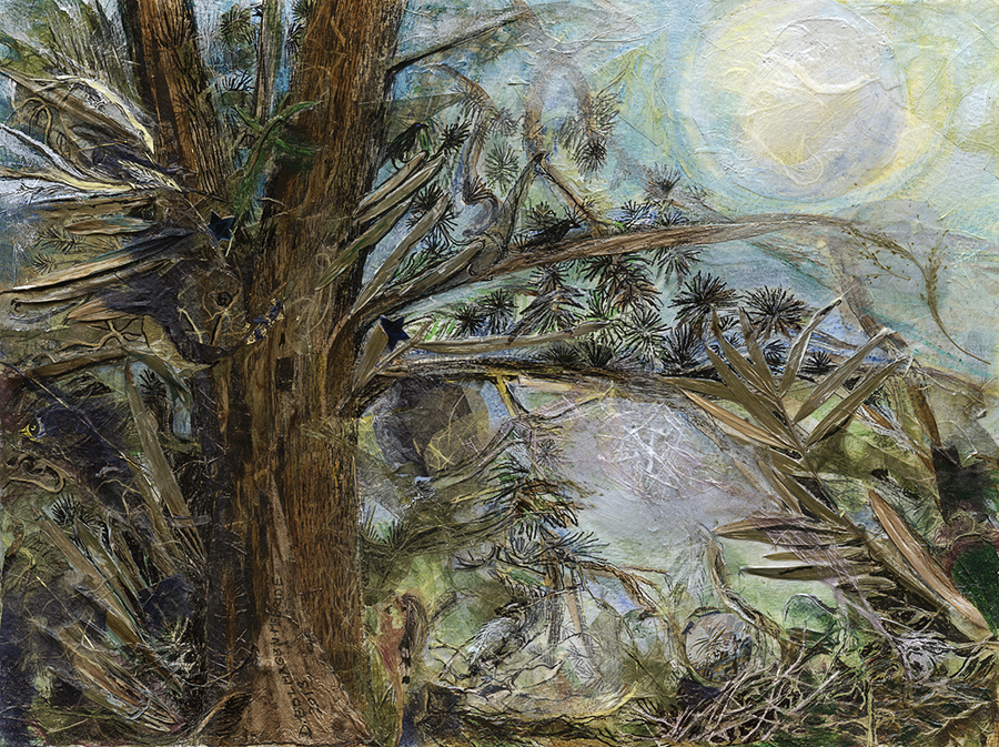 Dream of the Podocarpus Tree