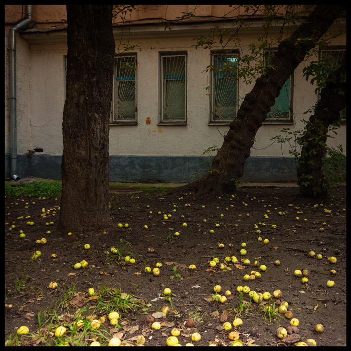 moscow. yellow album 06
