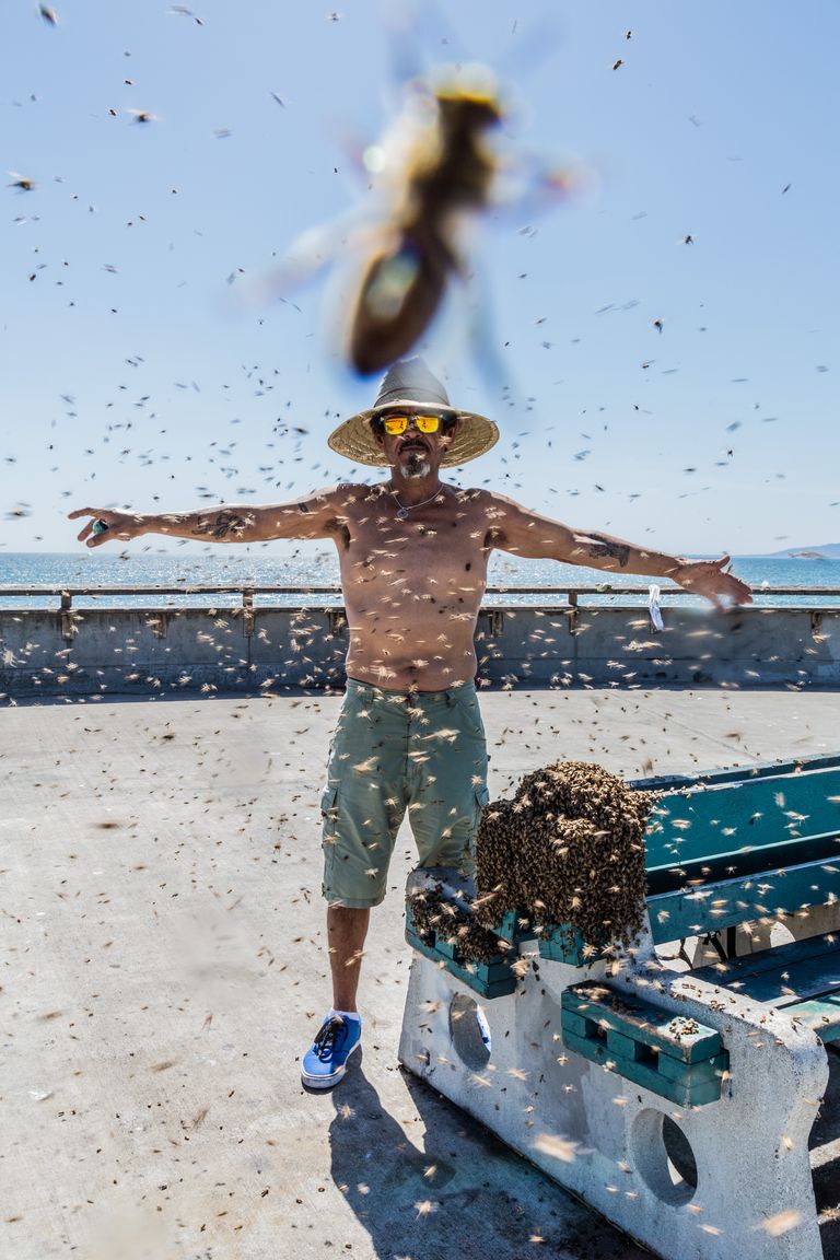 BEE MASTER