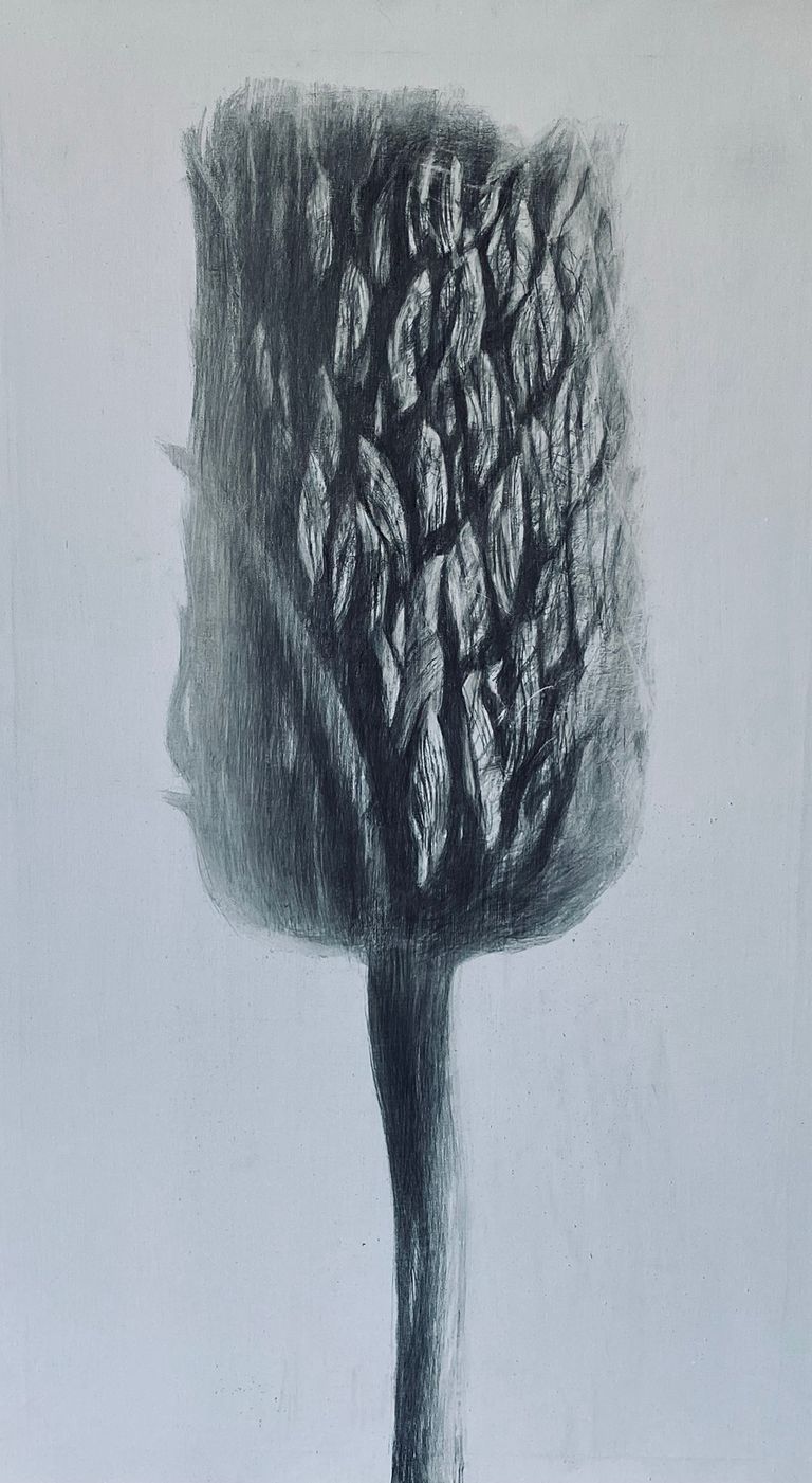 Burdock