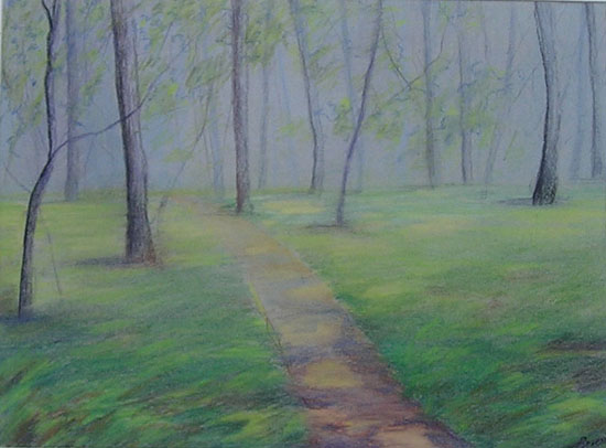 Spring woods