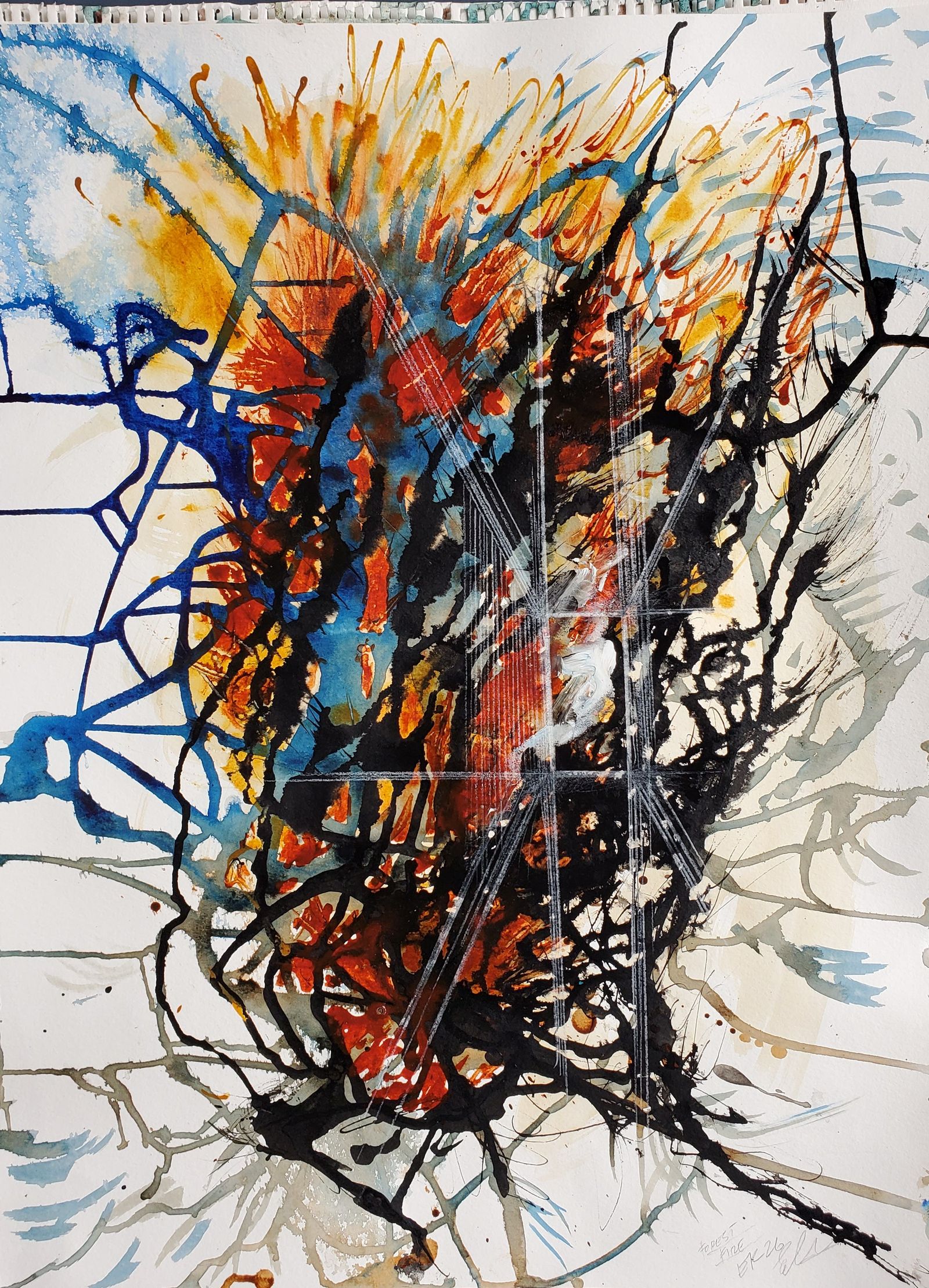 A Portal-1