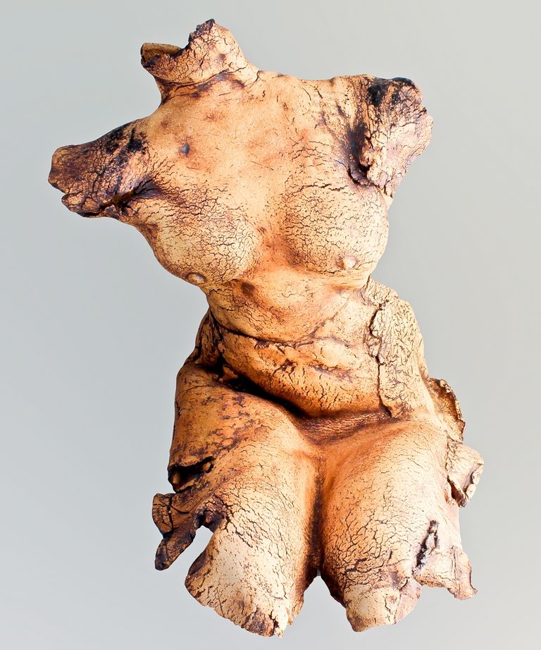 Torso