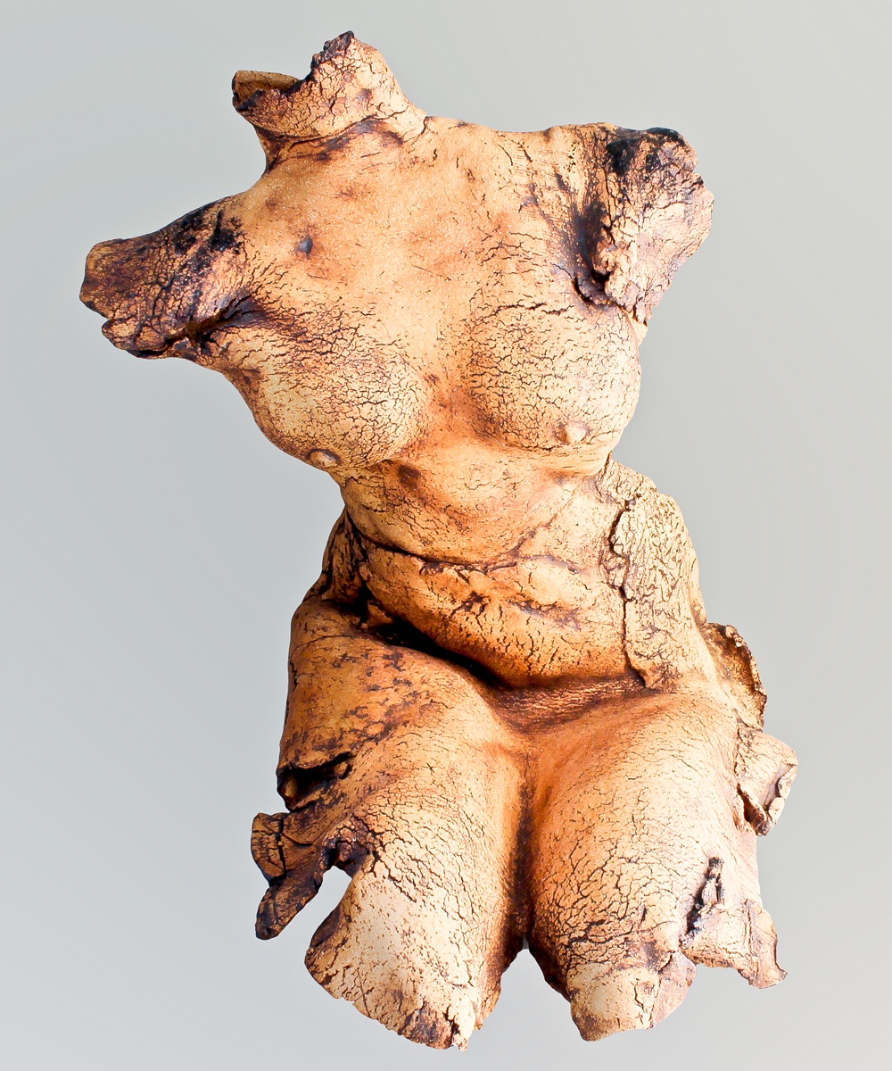 Torso
