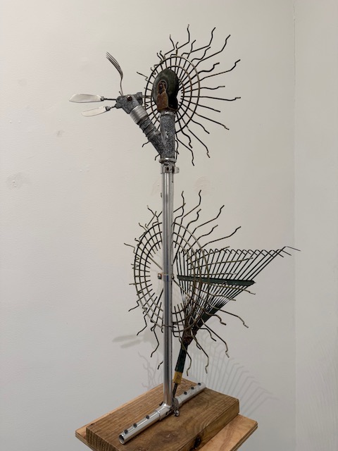 "Peacock"