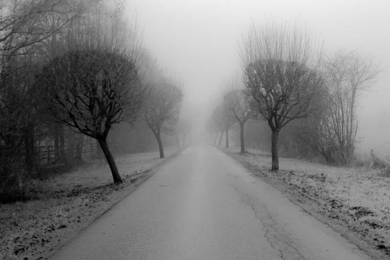 Belgium Road