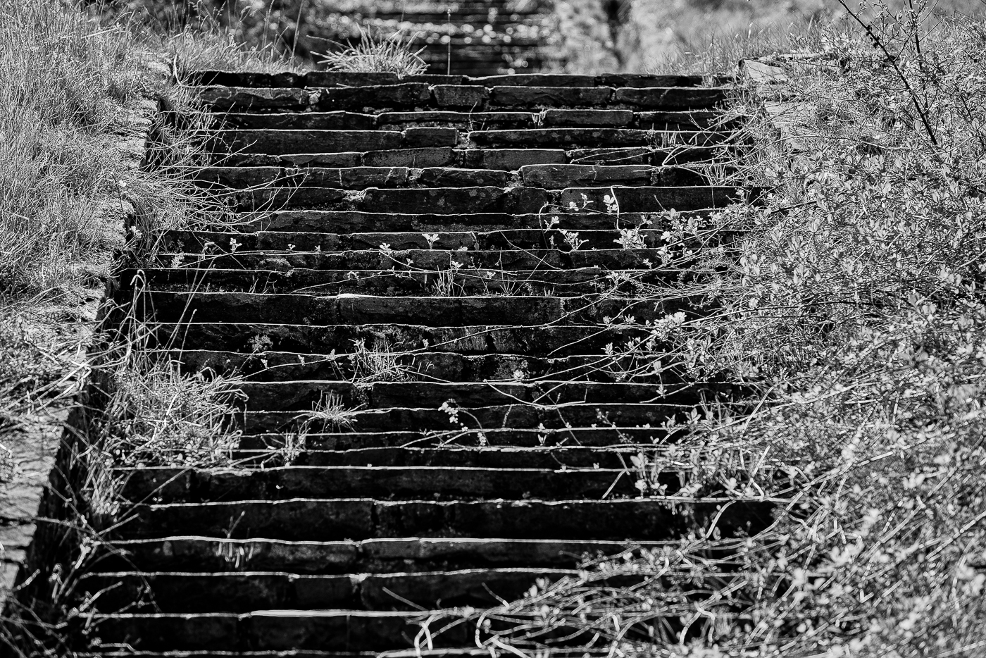 Steps to the past of Evil
