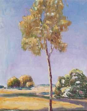 Ushangi